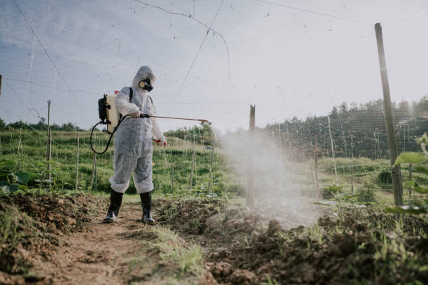 Professional Pest Control in Good Hope, AL