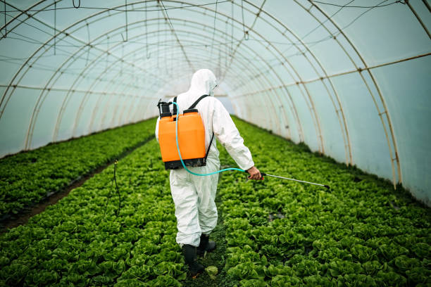 Best Commercial Pest Control Services  in Good Hope, AL