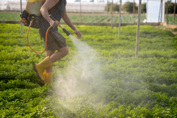 Best Pest Prevention Services  in Good Hope, AL