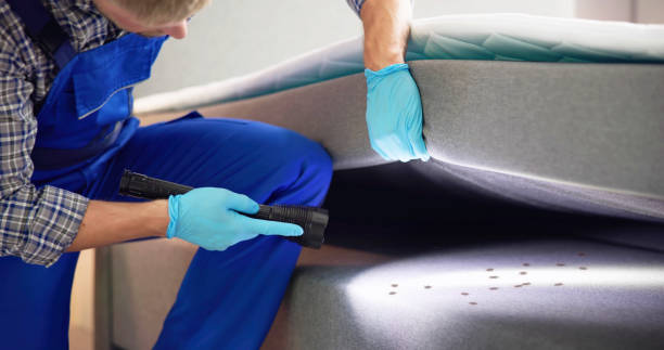 Best Ant Control Services  in Good Hope, AL