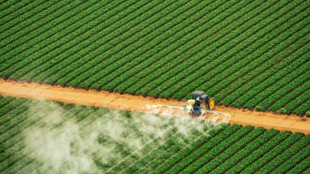 Best Mosquito Control Services  in Good Hope, AL