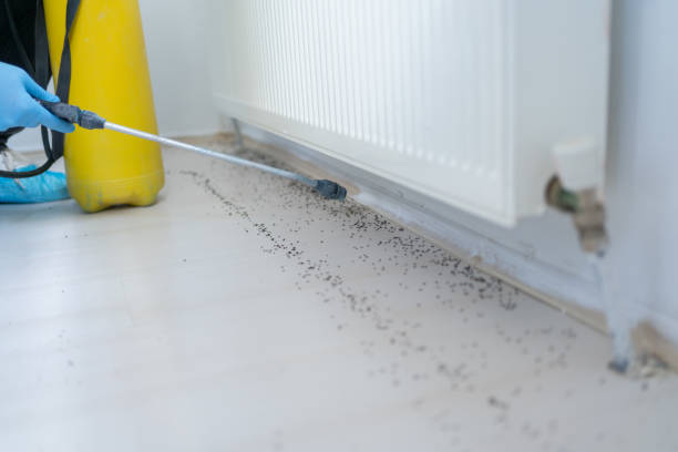 Best Wasp Removal Services  in Good Hope, AL