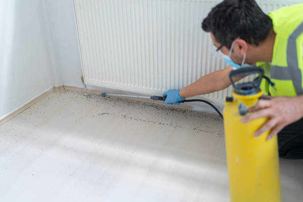 Best Affordable Pest Control Services  in Good Hope, AL